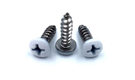 white painted stainless steel screws